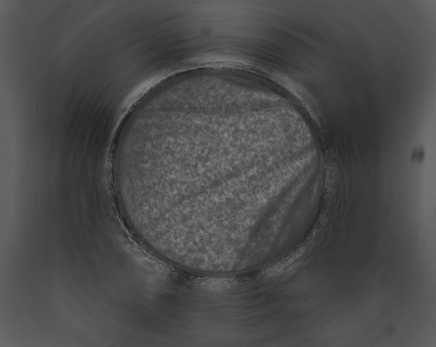 X0000089661074200707191643