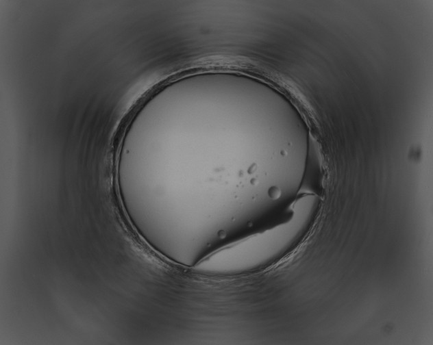 X0000089661075200707191643