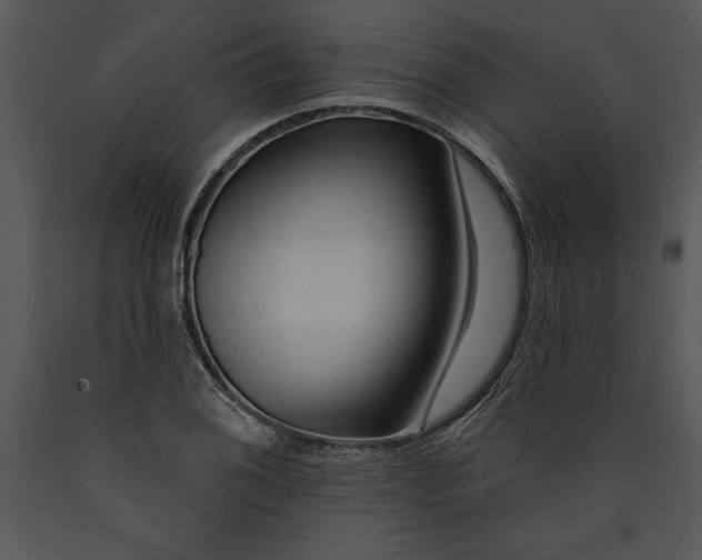 X0000089661076200707191643