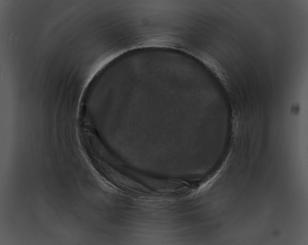 X0000089661077200707191643