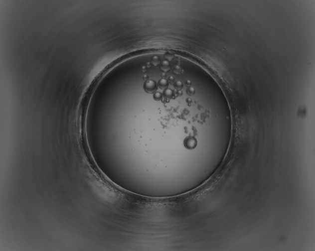 X0000089661078200707191643