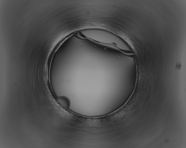 X0000089661080200707191643