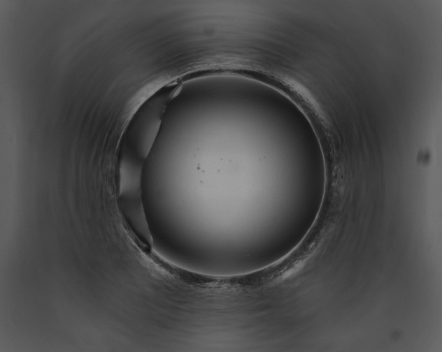 X0000089661081200707191643