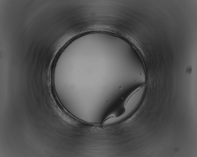 X0000089661082200707191643