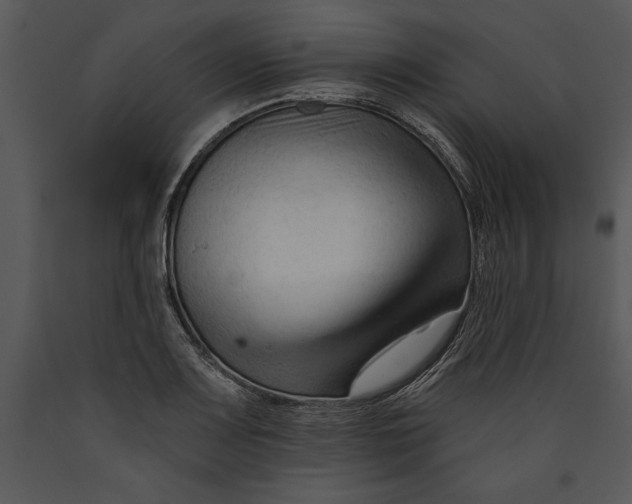 X0000089661083200707191643