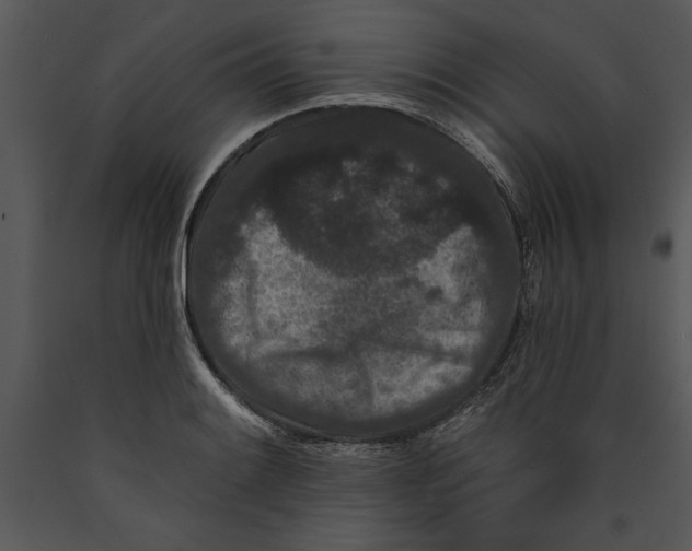 X0000089661084200707191643