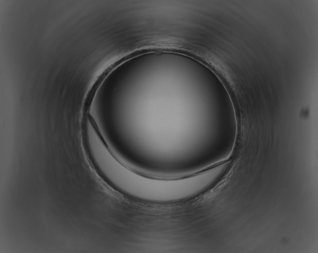 X0000089661085200707191643