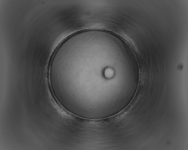 X0000089661086200707191643