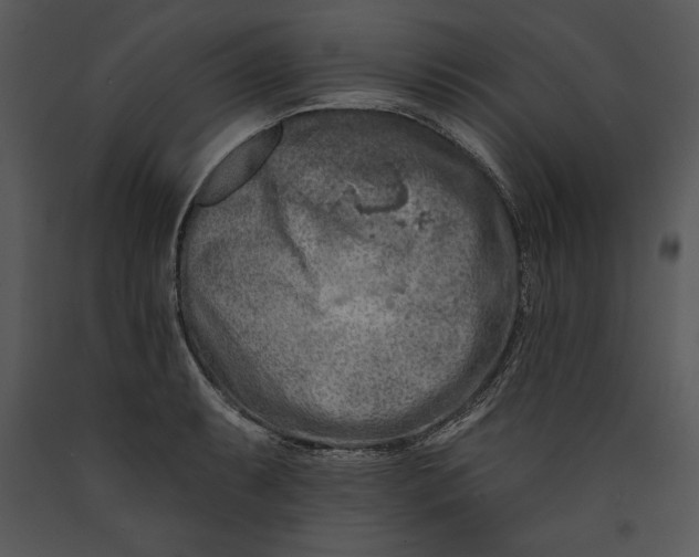 X0000089661087200707191643