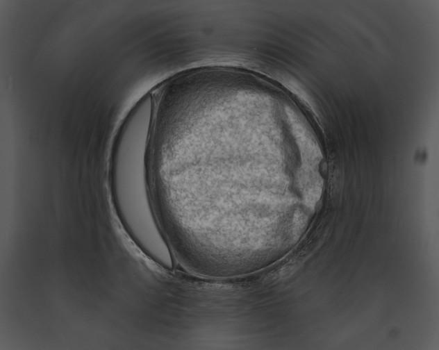 X0000089661088200707191643