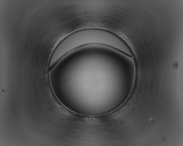 X0000089661089200707191643