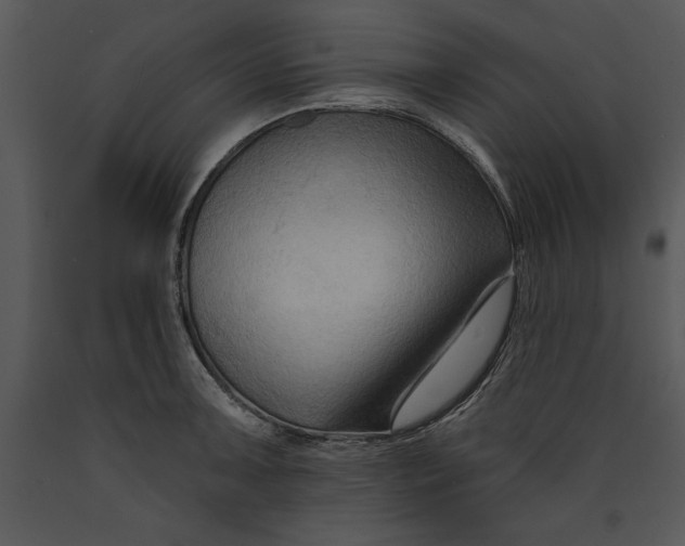 X0000089661091200707191643