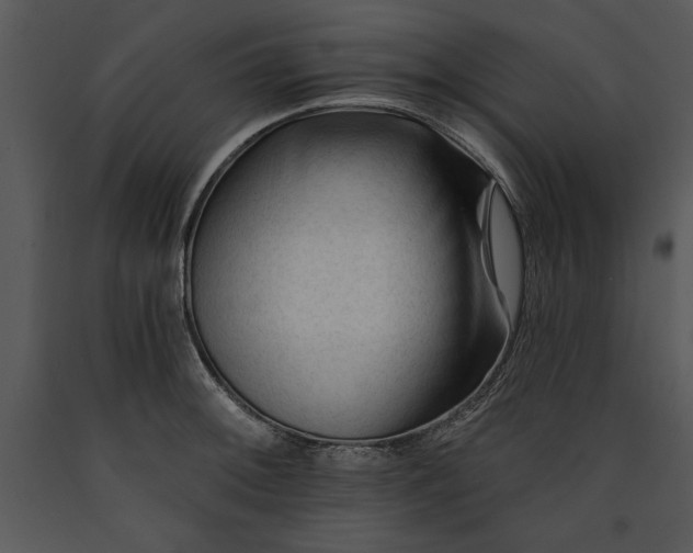X0000089661092200707191643