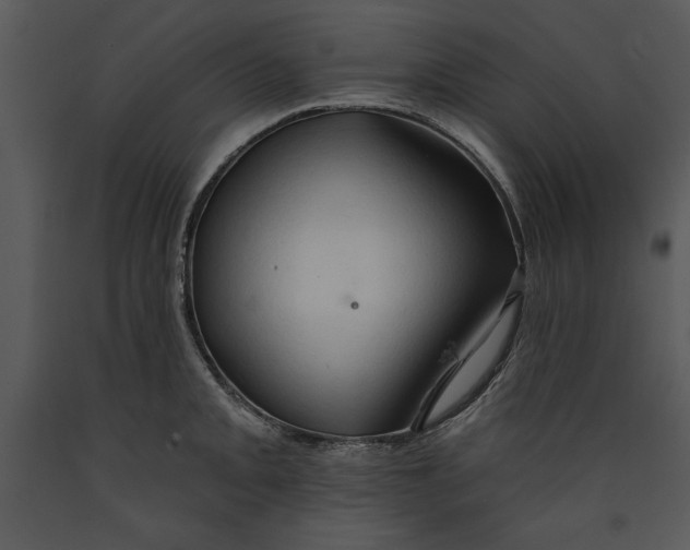 X0000089661093200707191643