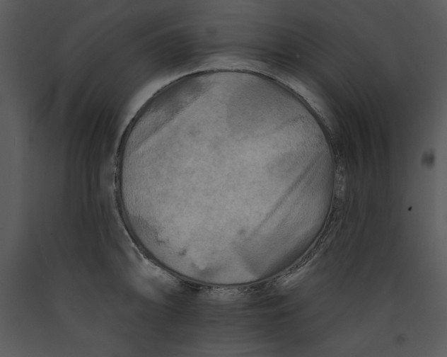 X0000089661094200707191643