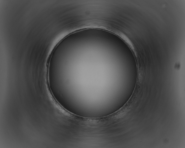 X0000089661096200707191643