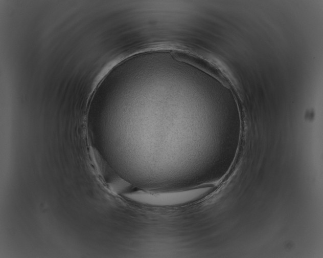 X0000089661097200707191643