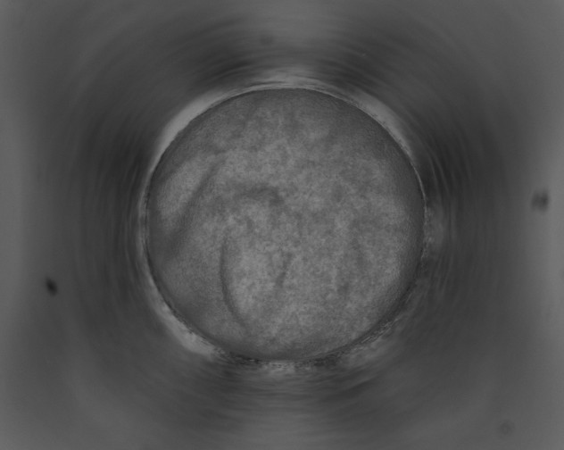 X0000089661098200707191643
