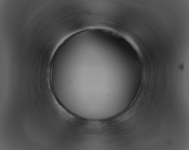 X0000089661100200707191643
