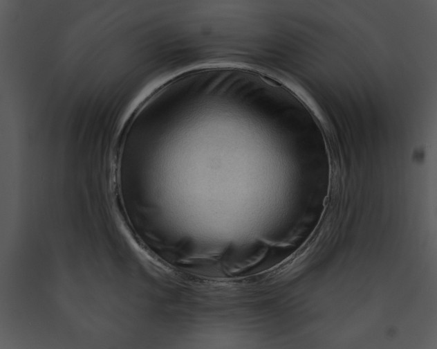 X0000089661101200707191643