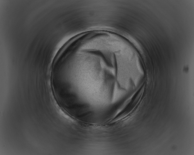 X0000089661102200707191643