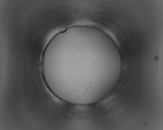 X0000089661103200707191643