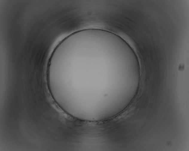 X0000089661104200707191643