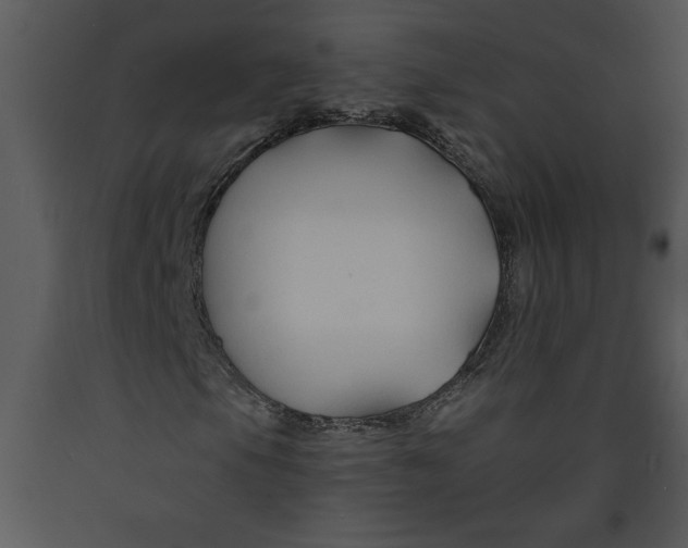 X0000089661105200707191642