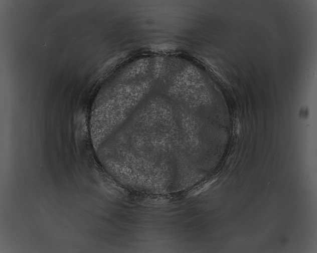 X0000089661106200707191642