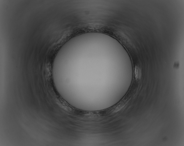 X0000089661107200707191642
