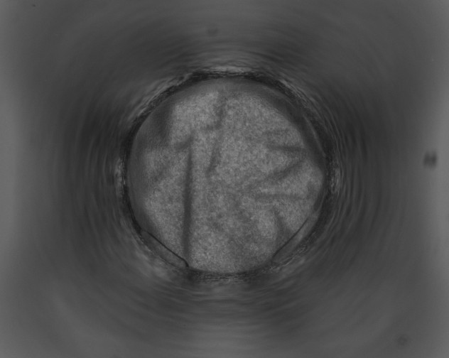 X0000089661108200707191642