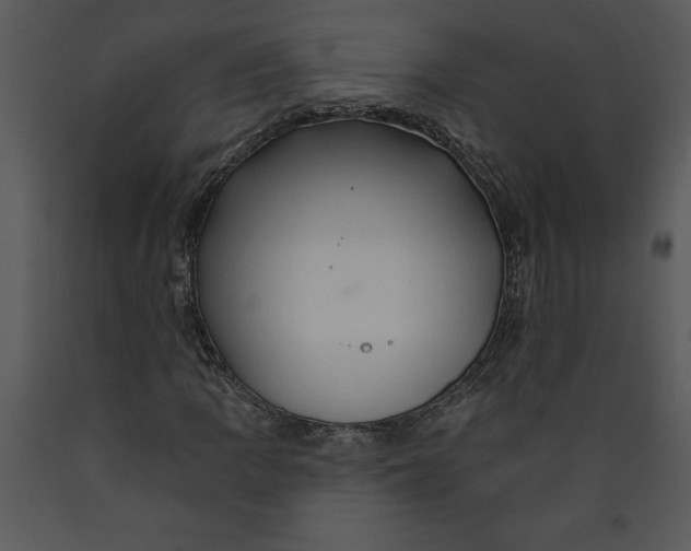X0000089661109200707191642