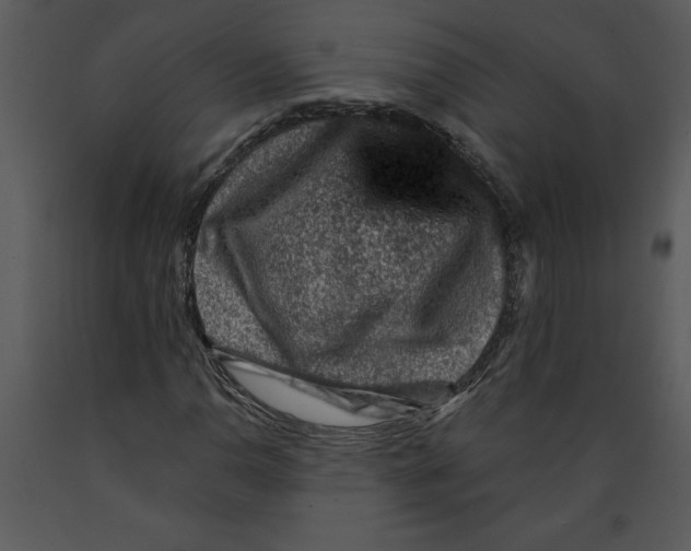 X0000089661110200707191642