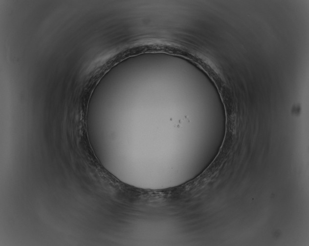 X0000089661111200707191642