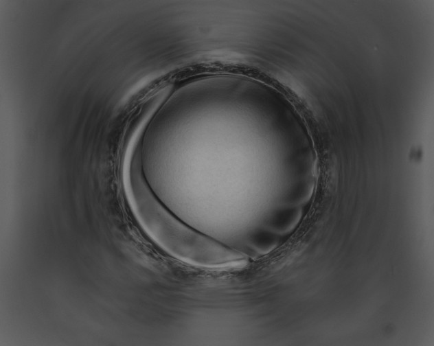 X0000089661112200707191642