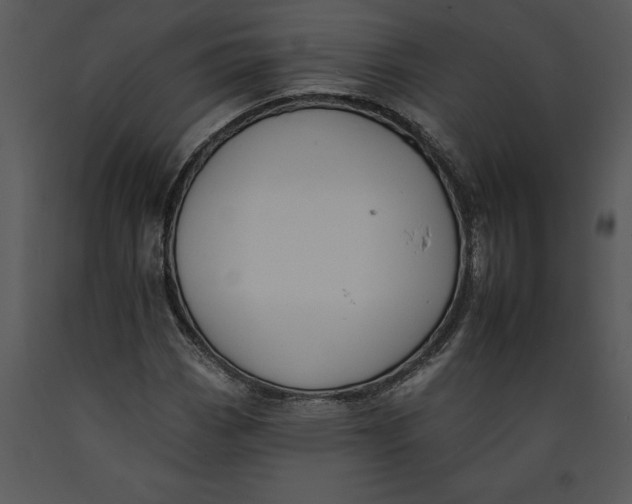 X0000089661113200707191642