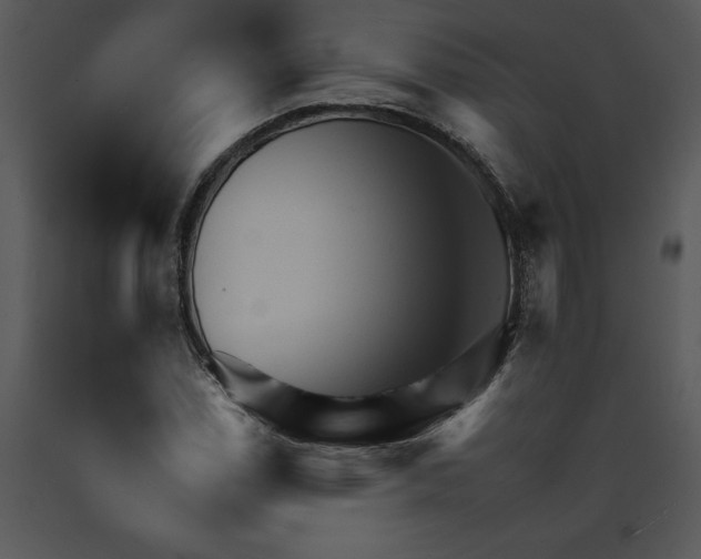 X0000089661114200707191642