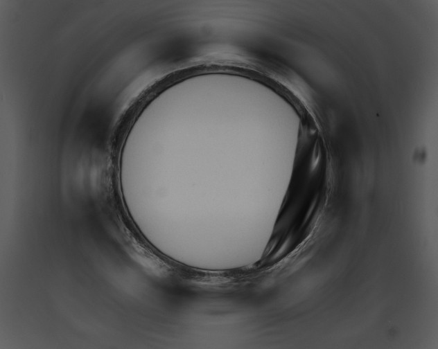 X0000089661115200707191642