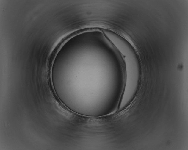X0000089661116200707191642