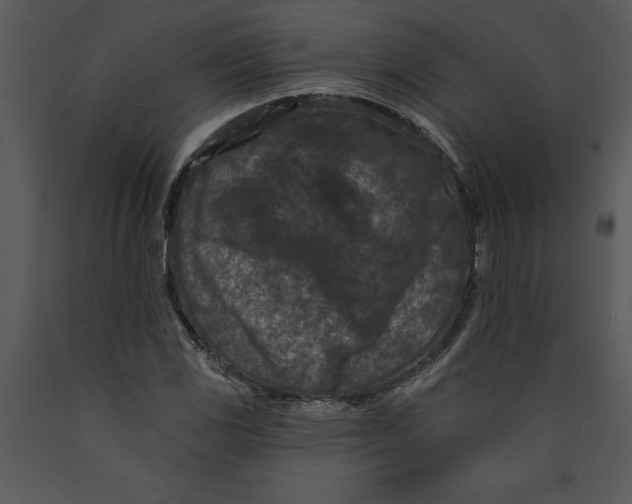 X0000089661117200707191642