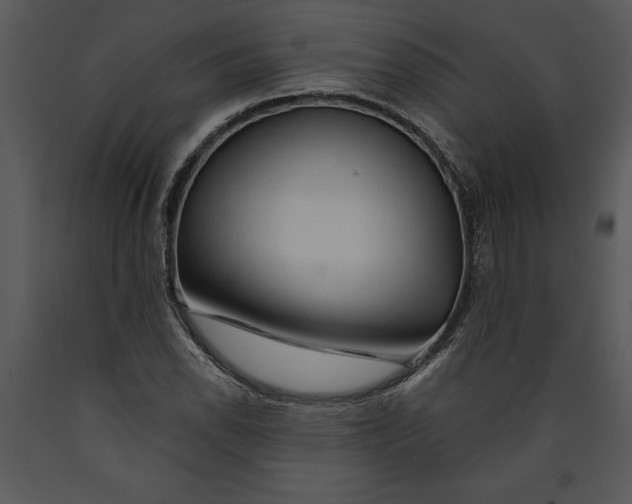 X0000089661118200707191642
