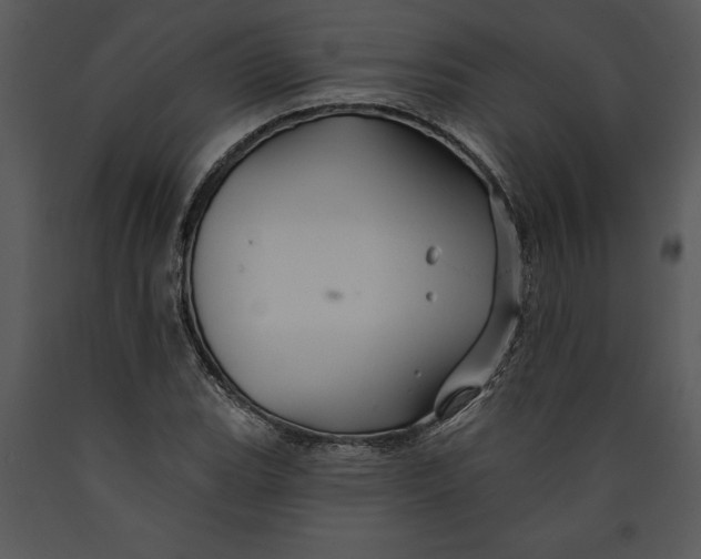 X0000089661119200707191642