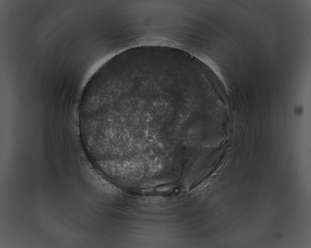 X0000089661120200707191642
