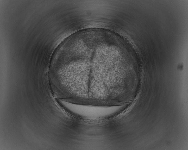 X0000089661121200707191642
