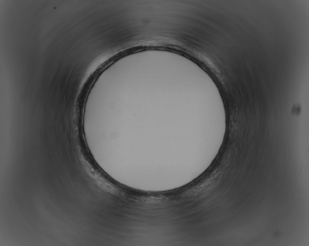 X0000089661122200707191642