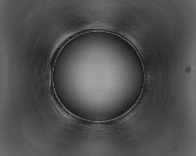X0000089661123200707191642