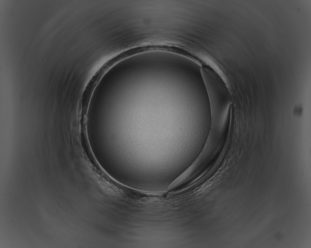 X0000089661124200707191642