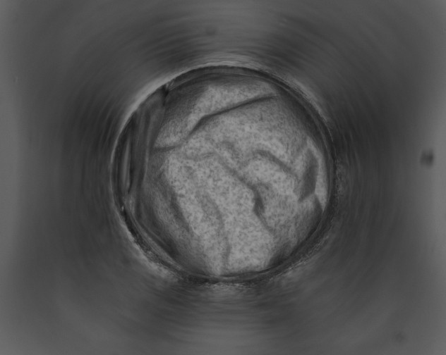X0000089661125200707191642