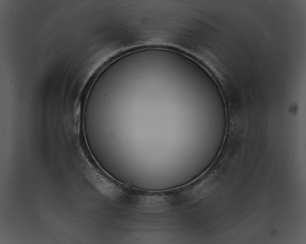 X0000089661126200707191642