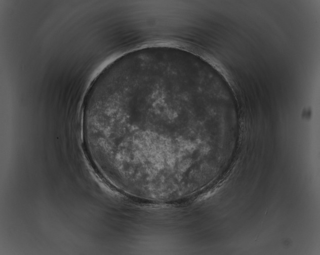 X0000089661127200707191642